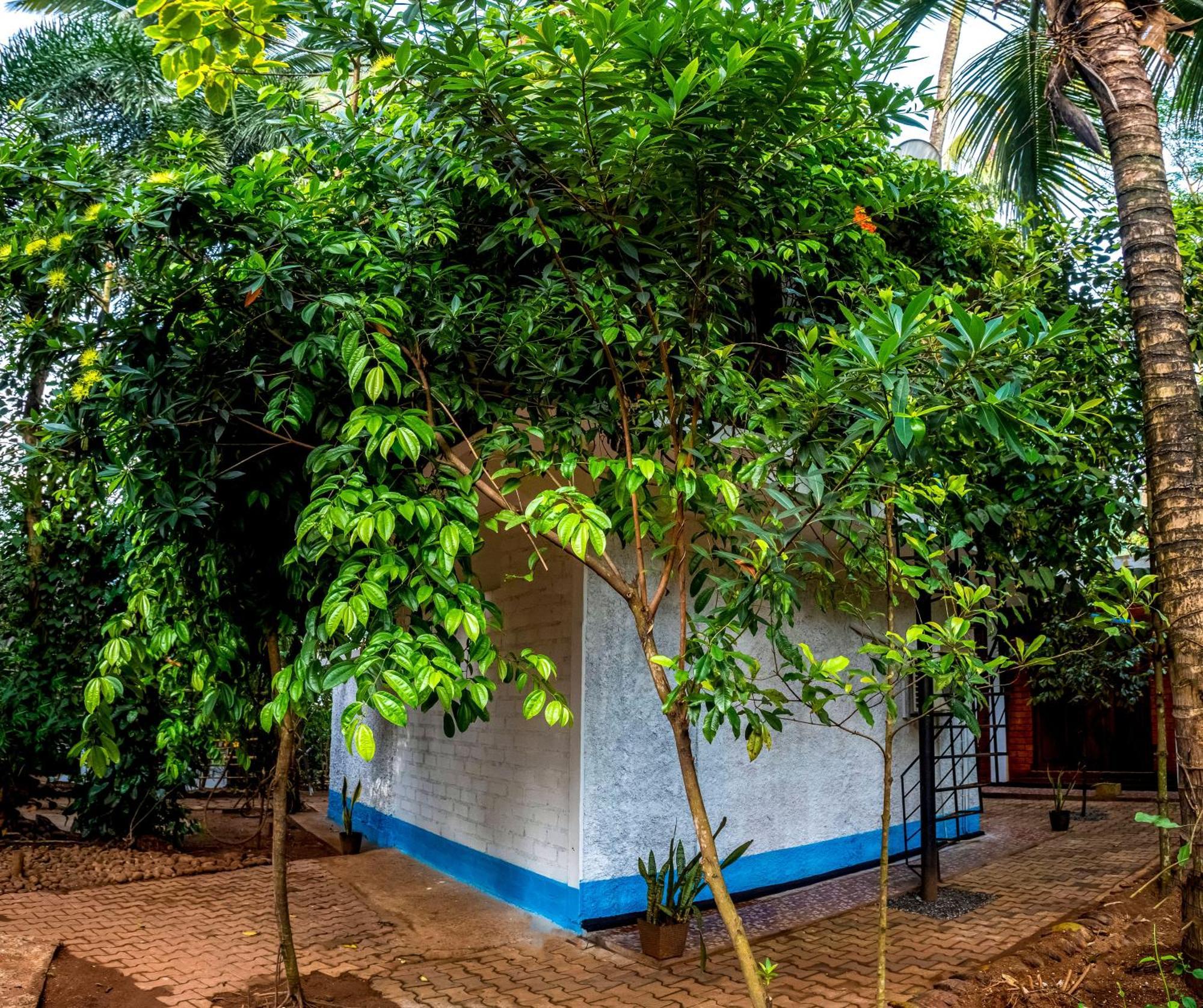 Jays Place Matale Kawudupelella Exteriör bild